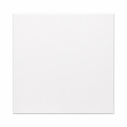 Panou radiant infrarosu DRAGUS, compact 60/60cm 300W/250W 5kg 5-15mc