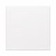 Panou radiant infrarosu DRAGUS, compact 60/60cm 300W/250W 5kg 5-15mc