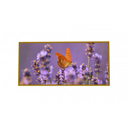 Panou radiant infrarosu, DRAGUS, imprimat imagine Fluture 125/60cm 900W/700W 10kg 30-45mc