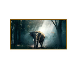 Panou radiant infrarosu, DRAGUS, imprimat imagine ELEFANT 125/60cm 900W/700W 10kg 30-45mc Panou radiant infrarosu, DRAGUS, imprimat imagine ELEFANT 125/60cm 900W/700W 10kg 30-45mc