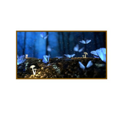 Panou radiant infrarosu, DRAGUS, imprimat imagine FLUTURE ALBASTRU 125/60cm 900W/700W 10kg 30-45mc Panou radiant infrarosu, DRAGUS, imprimat imagine FLUTURE ALBASTRU 125/60cm 900W/700W 10kg 30-45mc