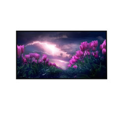 Panou radiant infrarosu, DRAGUS, imprimat imagine LALELE SI FURTUNA 125/60cm 900W/700W 10kg 30-45mc Panou radiant infrarosu, DRAGUS, imprimat imagine LALELE SI FURTUNA 125/60cm 900W/700W 10kg 30-45mc