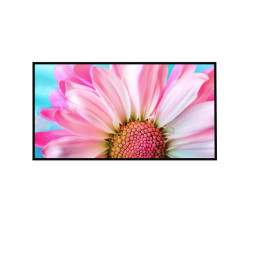 Panou radiant infrarosu, DRAGUS, imprimat imagine MARGARETA ROZ 125/60cm 900W/700W 10kg 30-45mc Panou radiant infrarosu, DRAGUS, imprimat imagine MARGARETA ROZ 125/60cm 900W/700W 10kg 30-45mc
