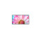 Panou radiant infrarosu, DRAGUS, imprimat imagine MARGARETA ROZ 125/60cm 900W/700W 10kg 30-45mc