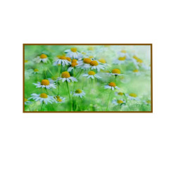 Panou radiant infrarosu, DRAGUS, imprimat imagine MUSETEL 125/60cm 900W/700W 10kg 30-45mc Panou radiant infrarosu, DRAGUS, imprimat imagine MUSETEL 125/60cm 900W/700W 10kg 30-45mc