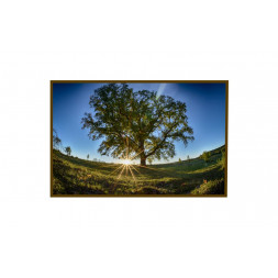 Panou radiant infrarosu DRAGUS, imprimat imagine Copac Verde 90/60cm 600W/500W 7kg 15-28mc