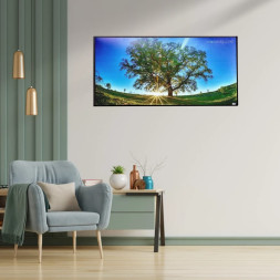 Panou radiant infrarosu ,DRAGUS, imprimat imagine Copac Verde 125/60cm 900W/700W 10kg 30-45mc Panou radiant infrarosu ,DRAGUS, imprimat imagine Copac Verde 125/60cm 900W/700W 10kg 30-45mc