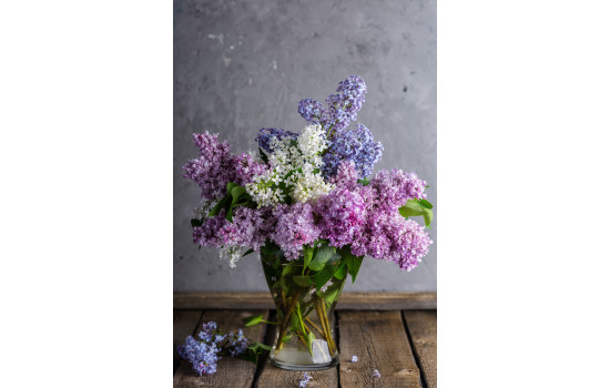 Panou radiant infrarosu, DRAGUS, personalizat 127/60cm 1200W/950W 10kg 40-60 MC