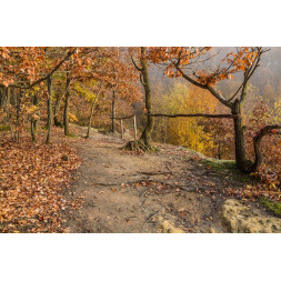 Panou radiant infrarosu, DRAGUS, personalizat 127/60cm 1200W/950W 10kg 40-60 MC