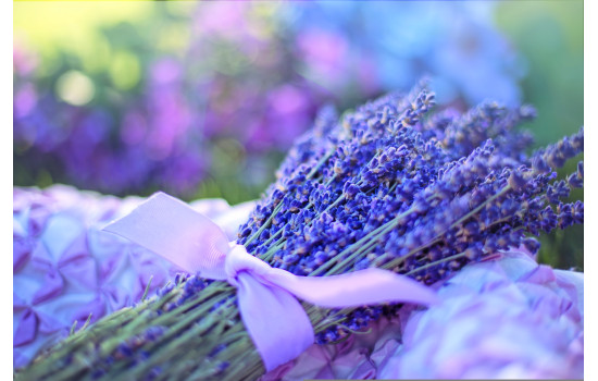 Panou radiant infrarosu DRAGUS, personalizat 90/60cm 600W/500W 7kg 15-28mc