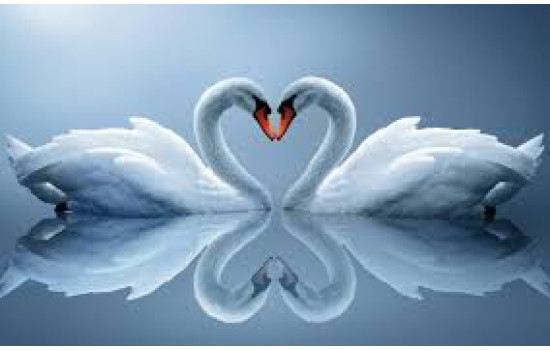 Panou radiant infrarosu DRAGUS, personalizat 90/60cm 600W/500W 7kg 15-28mc