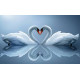 Panou radiant infrarosu DRAGUS, personalizat 90/60cm 600W/500W 7kg 15-28mc