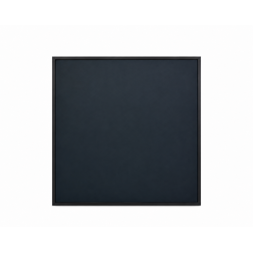 Panou radiant infrarosu, DRAGUS, color 60/60cm 300W/250W 5kg 5-15mc