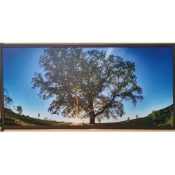 Panou radiant infrarosu DRAGUS, imprimat imagine Copac Verde 90/60cm 600W/500W 7kg 15-28mc