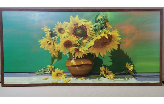 Panou radiant infrarosu, DRAGUS, personalizat 127/60cm 1200W/950W 10kg 40-60 MC